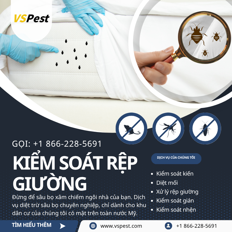 Công ty dịch vụ kiểm soát rệp giường tại West Covina, California gần tôi, gọi +1 866-228-5691